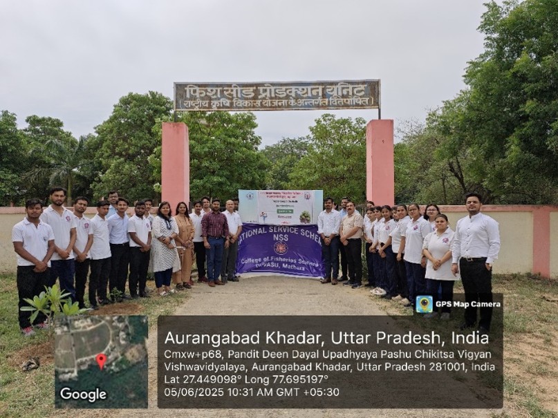 Plantation Drive