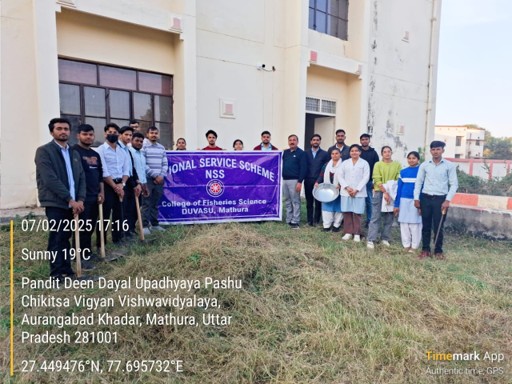 Cleanness programme