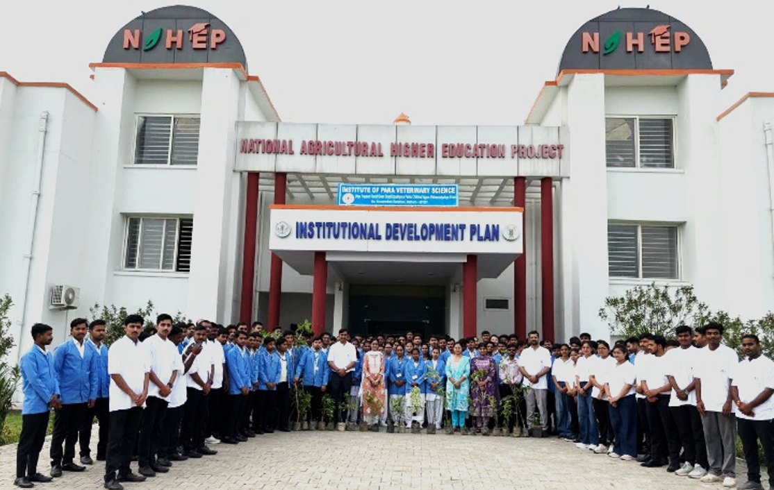 Plantation Drive on World Environment Day Celebration, 2026