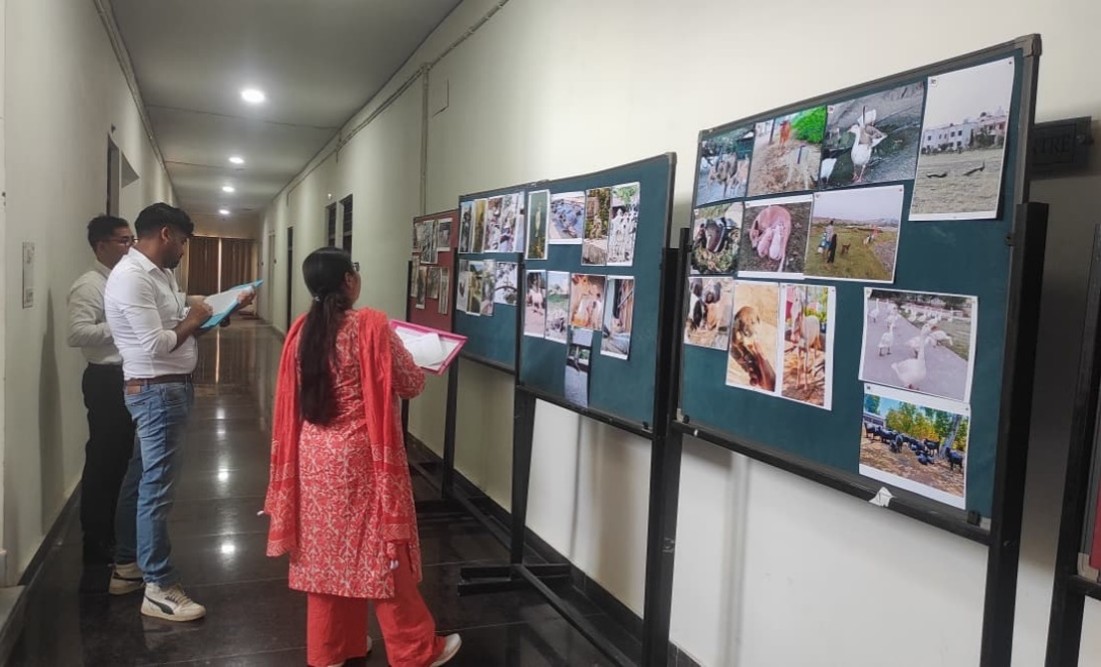 Judging of Photography competition on World Veterinary Day, 2026