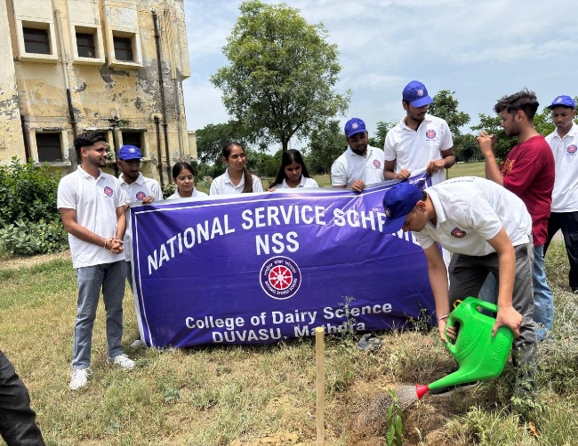 Tree Plantation on World Environment Day