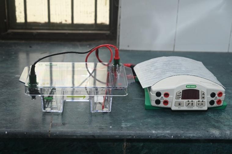 Refrigerated Centrifuge