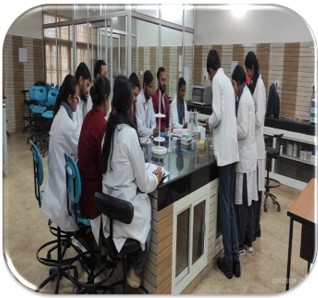 MOLECULER BIOLOGY LAB