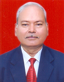 Prof. G.K. Singh