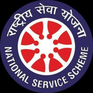 NSS Logo