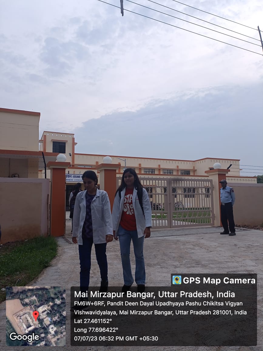 Students at the hostel gate