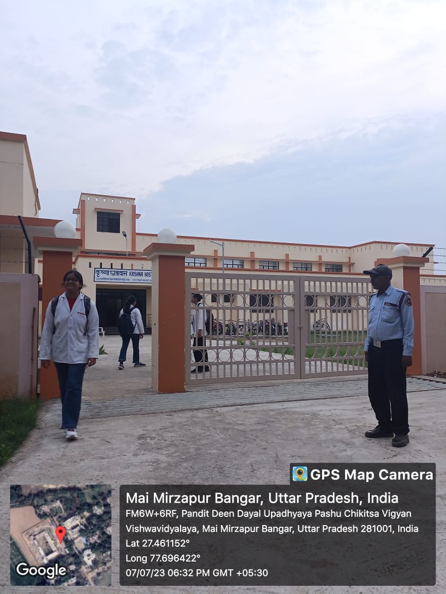 Guards on duty at the gate