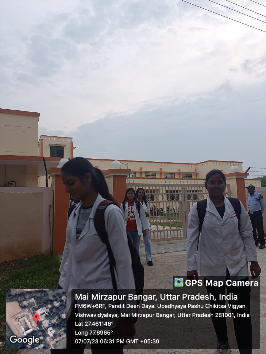 Students heading out from the hostel