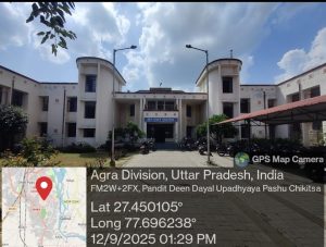 Deen Dayal Hostel gallery photo